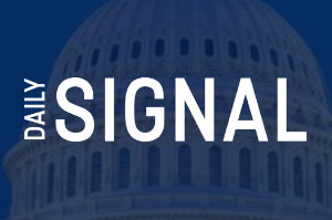 DailySignal-2026 Breitbart